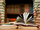 Author Agreement (licence, royalty, standard)