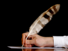 Author Agreement (licence, fee, basic)